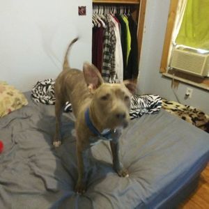 Meet your Posher, Khaled